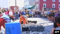 布斯湾渔民节的铲鱼比赛