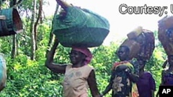 Des déplacés internes en RDC