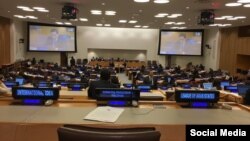 دوید کی، گزارشگر آزادی بیان سازمان ملل، گزارش خود را به کمیته سوم مجمع عمومی سازمان ملل ارائه داد.