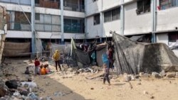 Թրամփը հաստատել է` «Համասի» հետ բանակցություններ են ընթանում