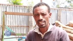 Darajjee Getaachoo: Nama Ogummaa Qalaqaa Guddifachuun Rakkoo Oomisha Qonnaa Naannoo Isaa Furaa Jiru