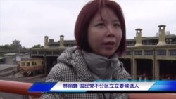 从柬埔寨新娘到立委候选人：台湾政坛灰姑娘