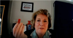 15일 '톰 랜토스 인권위원회'가 화상으로 연 대북전단 관련 청문회에서 수잔 숄티 북한자유연합 대표가 증언하고 있다. 사진 = 톰 랜토스 인권위원회 웹사이트