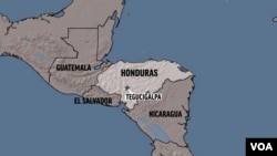 The Honduran association of journalists says 87 media workers had been killed in the country since 2001. 