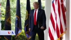 Faučijevo upozorenje, druga faza "otvaranja" i tajanstveni sindrom koji napada decu