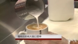 咖啡因影响大脑以提神