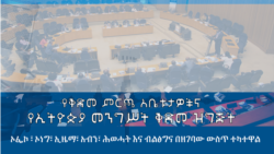 የቅድመ ምርጫ አቤቱታዎችና - የኢትዮጵያ መንግሥት ቅድመ ዝግጅት