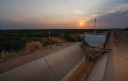 An irrigation canal that runs through land farmed by Tempe Farming Co., in Casa Grande, Ariz., is shown without water, July 22, 2021.