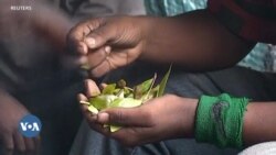 "በሱስ የተጠቁ ሰዎች ፈጽመው መዳን ይችላሉ" ዶክተር መስከረም አበበ
