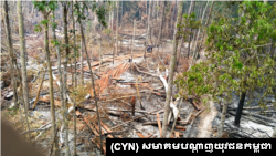 ការរកឃើញការកាប់បំផ្លាញព្រៃឈើចំនួន ១០០ករណី នៅក្នុងដែនជម្រកសត្វព្រៃព្រះរការ ក្នុងខេត្តព្រះវិហារ កាលពីខែមីនា ឆ្នាំ ២០២១។ (សមាគម​បណ្ដាញ​យុវជន​កម្ពុជា)