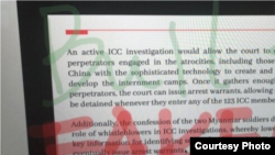 During a panel discussion at Brandeis University on China's Xinjiang policy, Uighur attorney and advocate Rayhan Asat's Zoom screen was hijacked Nov. 13, 2020. 