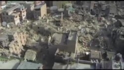 search and rescue dogs