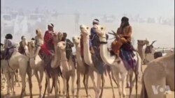 La cure salée célèbre les éleveurs du Niger (vidéo)