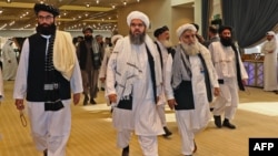 Tolibon vakillari Qatar poytaxti Doxada, 2020-yil, 29-fevral 