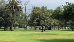 加州要加速疫情解冻，洛杉矶居民“用生命搏自由”