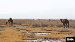 تالاب «کجی نمکزار»، نهبندان در استان خراسان جنوبی (آرشیو)