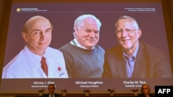 Pengumuman pemenang Hadiah Nobel 2020 bidang Fisiologi atau Kedokteran, dari kiri: Harvey Alter (AS), Michael Houghton (tengah) dan Charles Rice (AS) dalam konferensi pers di Karolinska Institute, Stockholm, Swedia, 5 Oktober 2020. 