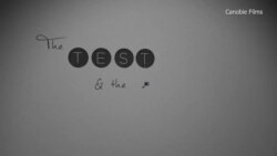 Film Questions Merits of SAT Tests