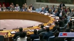 امریکا قطعنامۀ پیشنهادی 'حفاظت از فلسطینی ها' را رد کرد