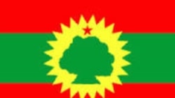 ግንባር ሓርነት ኦሮሞ የካይዶ ዝነበረ ዕጥቃዊ ቓልሲ ብግዚያዊነት ደው ምባሉ ኣፍሊጡ