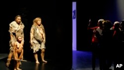 FILE - Visitors take pictures of models representing Flores, human and Neanderthal women in the "Musee des Confluences," a new science and anthropology museum in Lyon, central France, Dec. 18, 2014. 