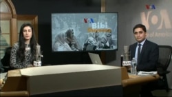 بي بي شیرینه – وي او اې ډيوه په ټیلې ویژن