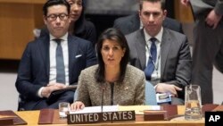 ნიკი ჰეილი, აშშ-ის ელჩი გაეროში