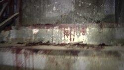 On the Scene: Pakistan University Attack