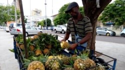 COVID-19: Preços de alimentos disparam em Moçambique