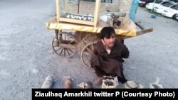 Afghanistan - A member of the ISIS group and in charge of landmines was arrested in Nangarhar province. 