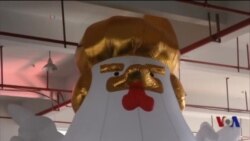 就职大典后又是鸡年 中国工厂赶制“川普鸡”