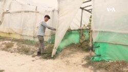 نبود بازار فروش محصولات به دهقانان آسیب اقتصادی وارد می‌کند