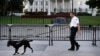Prosecutor: White House Intruder Had Ammunition Cache
