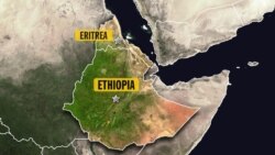 የኤርትራ ወታደሮች “በኢሮብ ግድያና ዝርፊያ ፈጽመዋል” ተባለ