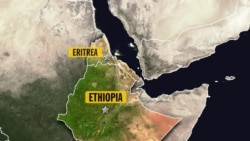 የኢትዮጵያ መንግሥት አሸባሪዎች ያዝኩ አለ