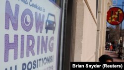 Icapa cerekana imwe mu nzu y'ukwivuniramwo umusase ivuga ko yongeye gutanga akazi muri Amerika 