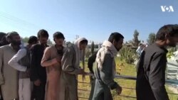 له جلال اباد څخه کابل ته د معتادینو لېږد