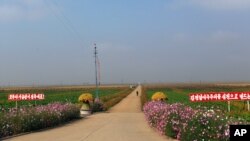 Agricultural Reform in North Korea