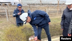 Місія МАГАТЕ на ЗАЕС, 29 березня 2023 року