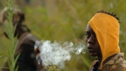 Moko na basimba minduki ya FRPI (Force ya résistance ya Ituri) pene na Tchei, Ituri, 28 juillet 2006.