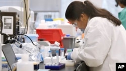 FILE - A ticket agent helps travelers arriving on a flight from Frankfurt, Germany before travel restrictions are enacted hours later on flights from Europe entering the U.S. 