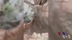 美国亚利桑那州暴洪淹死9人