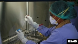 Obat transplantasi kemungkinan dapat membantu untuk menurunkan tingkat HIV (foto: ilustrasi).