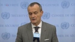 UN Approves European Troop Deployment to CAR