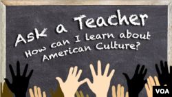 How Can I learn About American Culture?