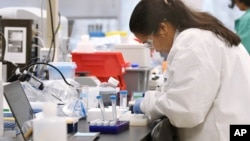 A researcher at Protein Sciences works in a lab, Thursday, March 12, 2020, in Meriden, Conn. The biotech company is currently researching a vaccine for COVID-19. 