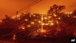 Požar u okrugu Napa u Kaliforniji, 18. avgust 2020. (Foto: AP/Noah Berger)