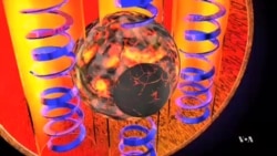 Understanding Earth’s Magnetic Field