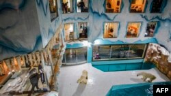People look at polar bears inside an enclosure at a newly-opened hotel, which allows guests views of the animals from rooms on the premises in Harbin, northeastern China's Heilongjiang province.