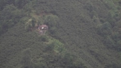 The steep valleys of Turkey Ordu province makes harvesting the nut a hard and often dangerous job. (D. Jones/VOA)